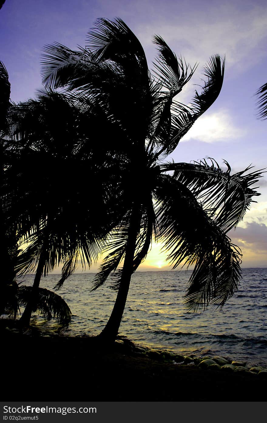 Sunset at the lagoon of the barrier reef in Belize. Sunset at the lagoon of the barrier reef in Belize.