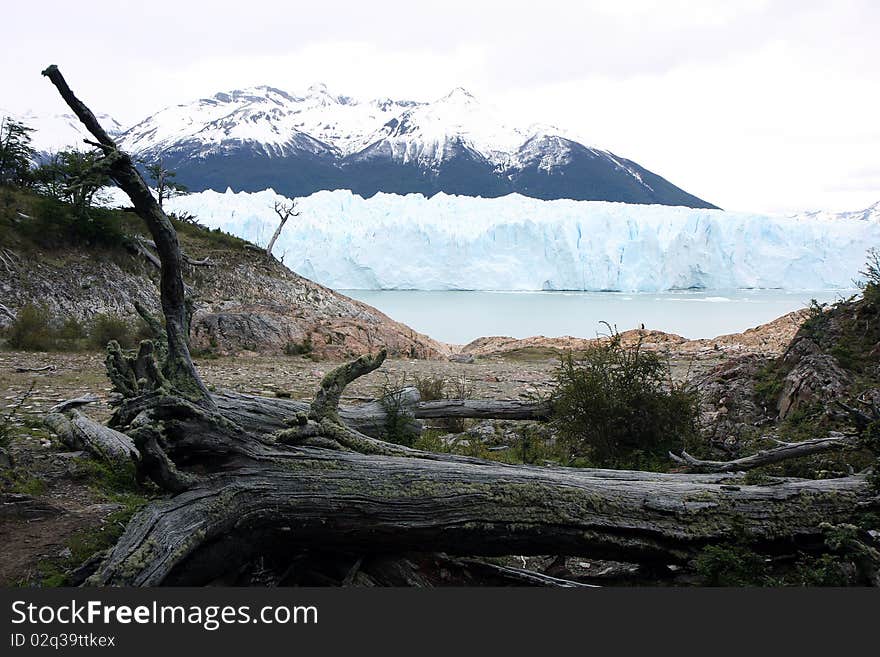 View to the glacier with nearby mountain and a forest. View to the glacier with nearby mountain and a forest