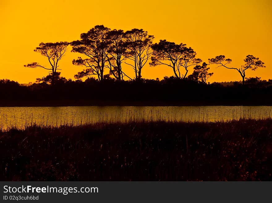 Sunset over outerbanks north carolina over trees