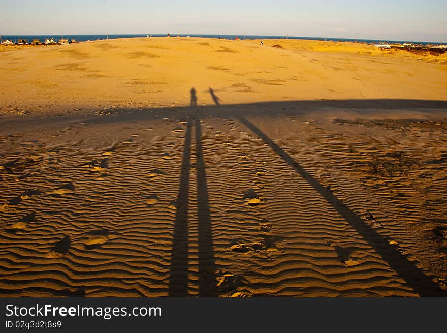 Shadows across sand dunes in North Carolina