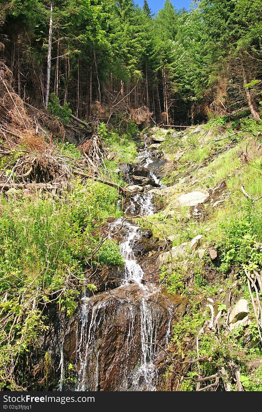 Beautiful waterfall through branches under the forest on high altitude