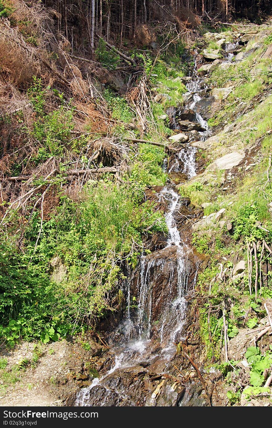 Landscape with waterfall on dead branches