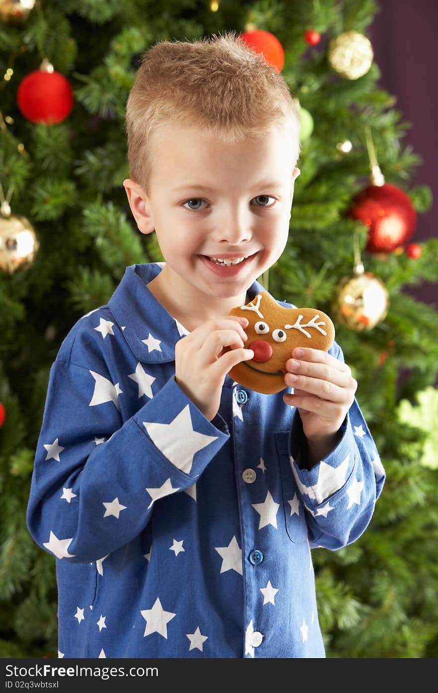 Young Boy Eating Cookie In Front Of Christmas Tree Smiling