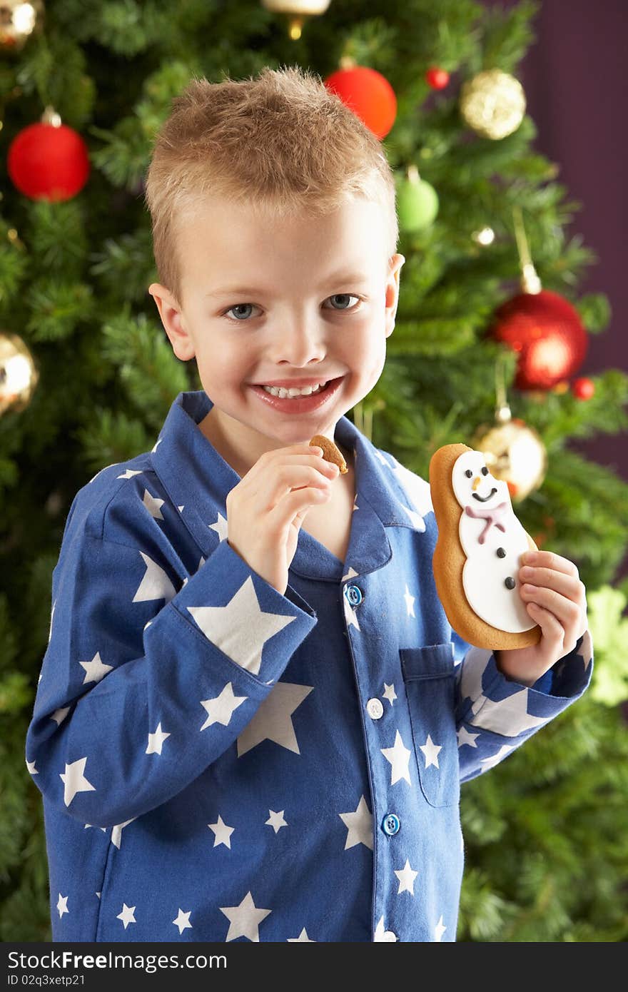 Young Boy Eating Cookie In Front Of Christmas Tree