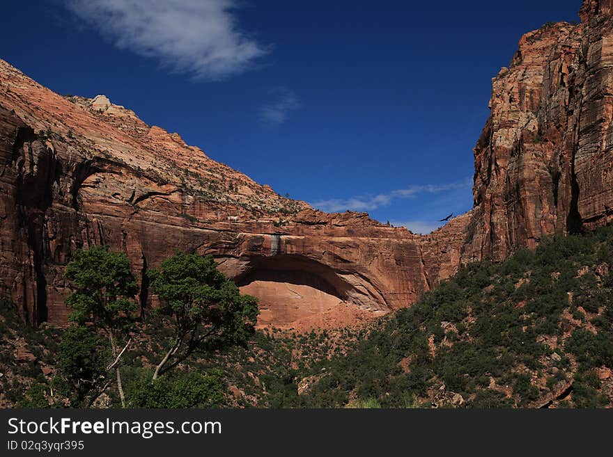 Zion National Park 6