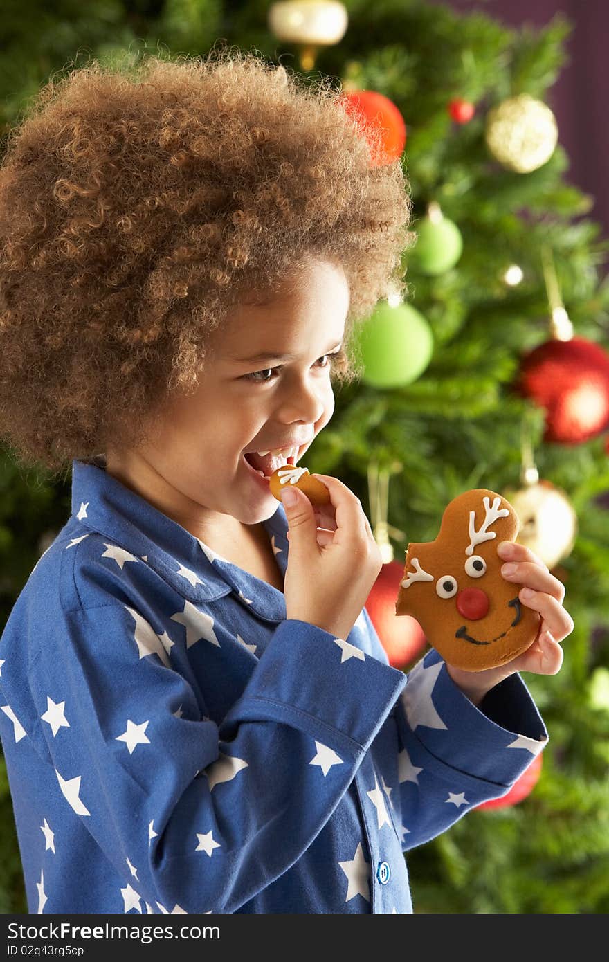 Young Boy Eating Cookie In Front Of Christmas Tree Smiling