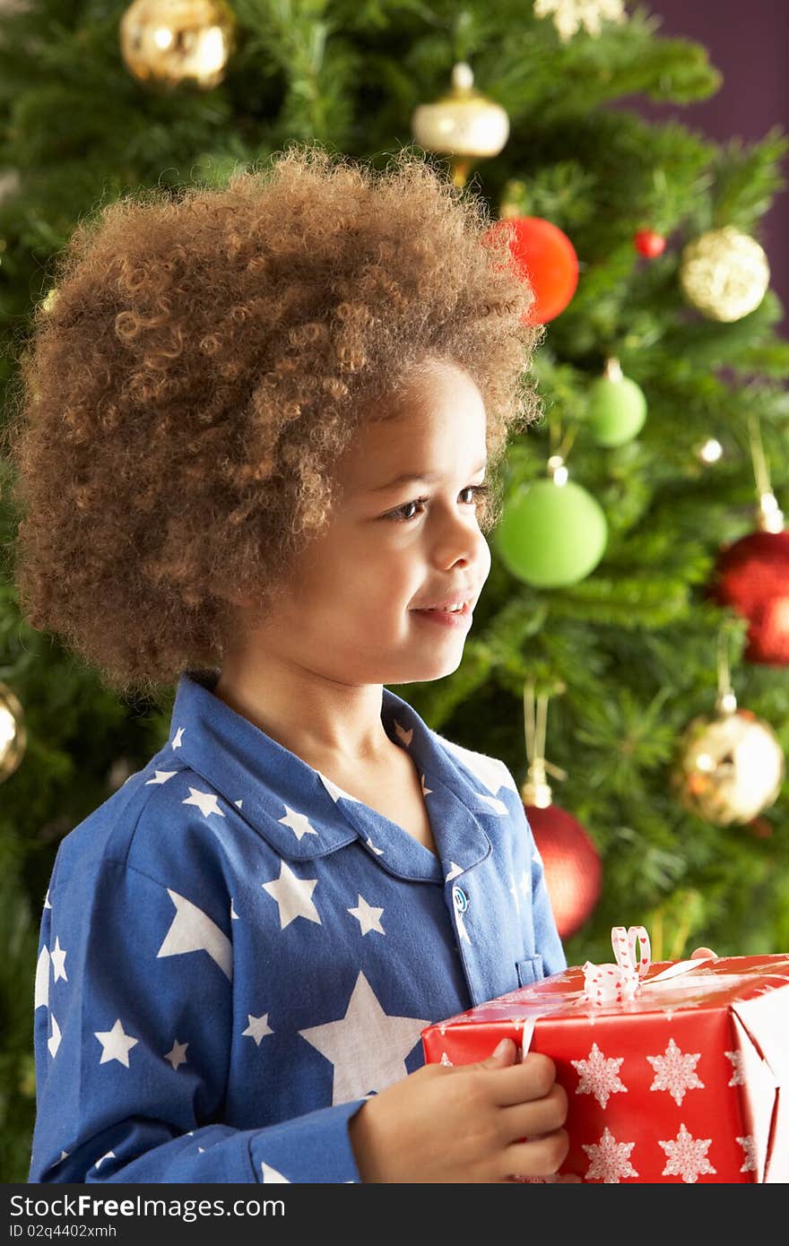 Young Boy Holding Gift In Front Of Christmas Tree