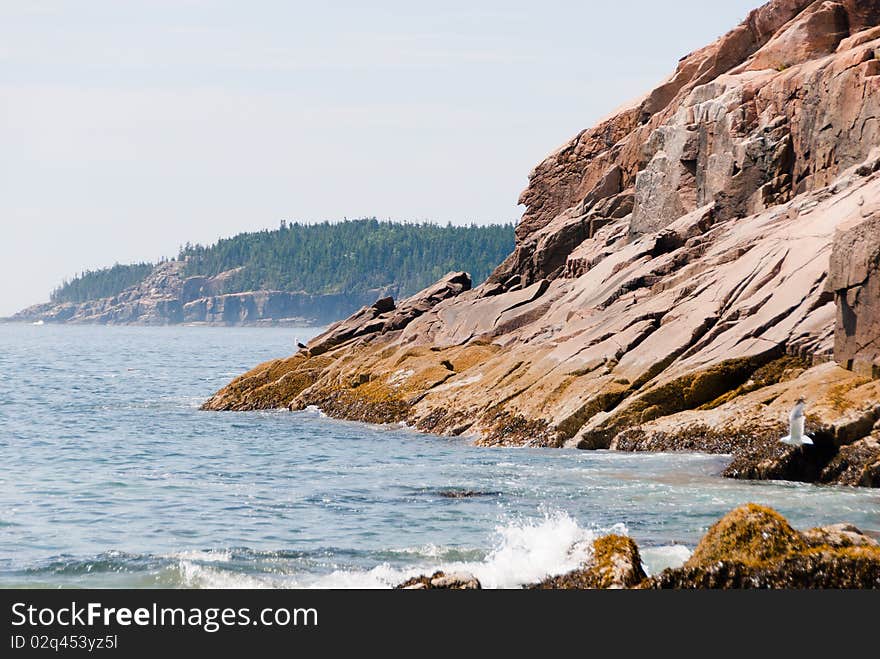 Rocks At Acadia National Park