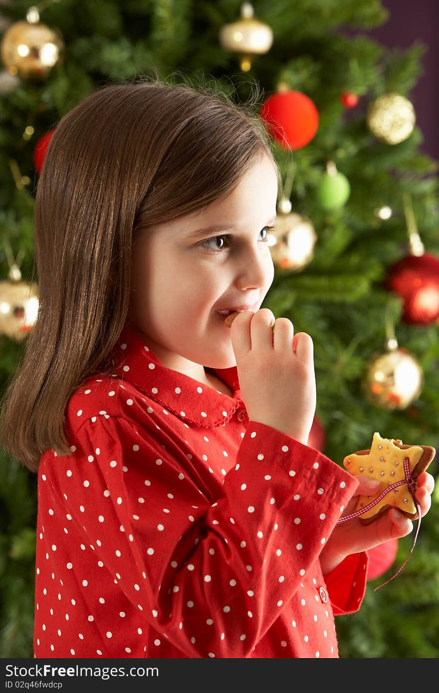 Young Girl Eating Star Shaped Christmas Cookie In Front Of Christmas Tree. Young Girl Eating Star Shaped Christmas Cookie In Front Of Christmas Tree