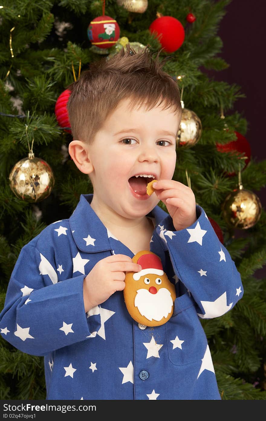 Young Boy Eating Cookie In Front Of Christmas Tree