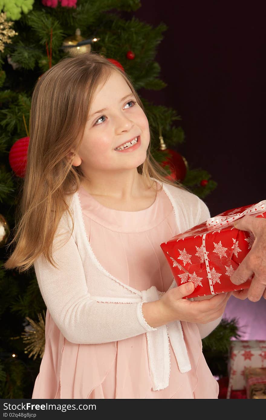 Young Girl Holding Christmas Present In Front Of Christmas Tree. Young Girl Holding Christmas Present In Front Of Christmas Tree