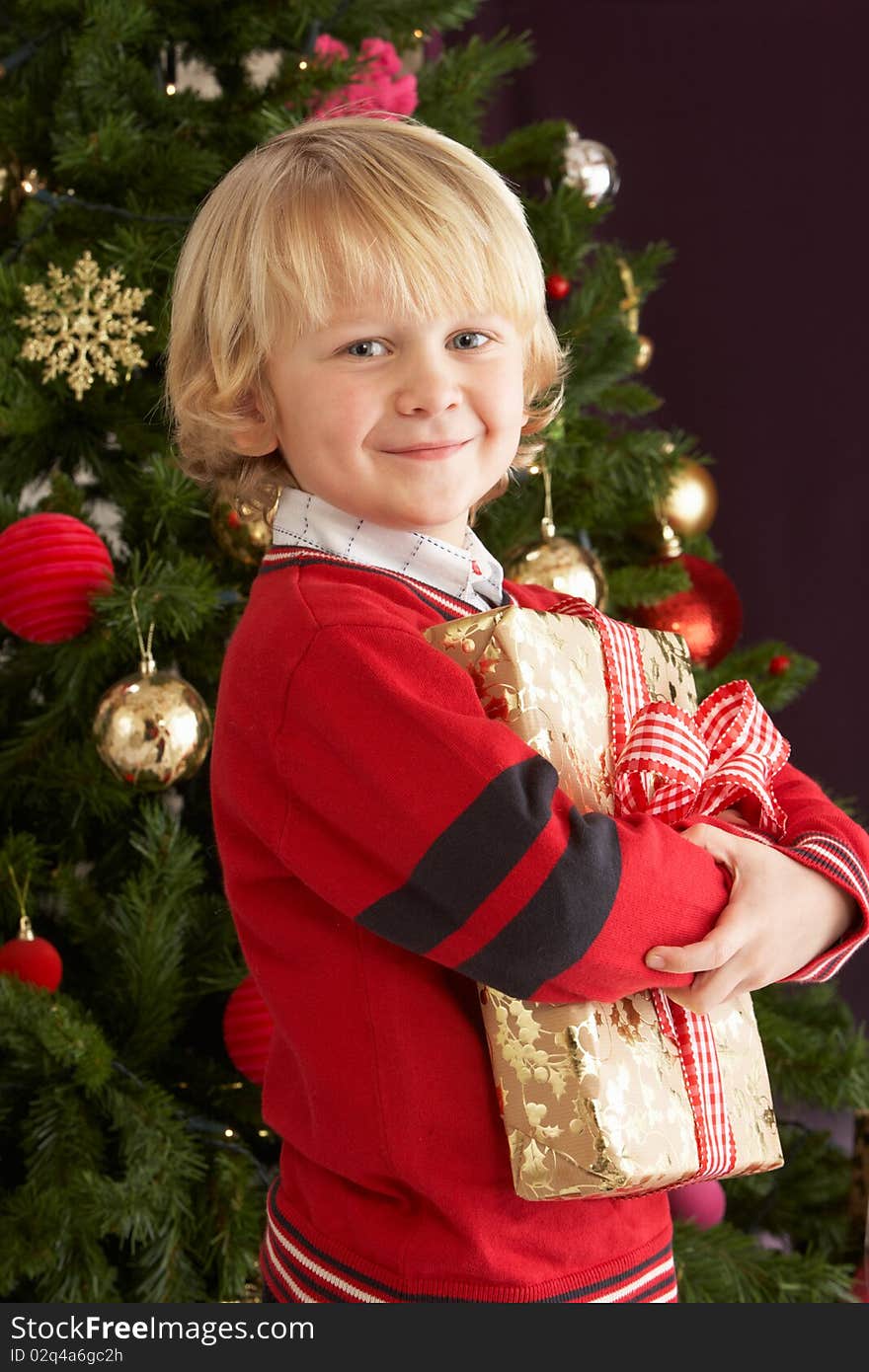 Young Boy Holding Gift In Front Of Christmas Tree