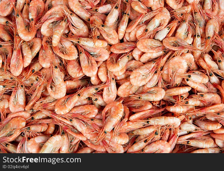 Bunch og freshly cooked shrimps ready for sale from Bergen in Norway. Bunch og freshly cooked shrimps ready for sale from Bergen in Norway