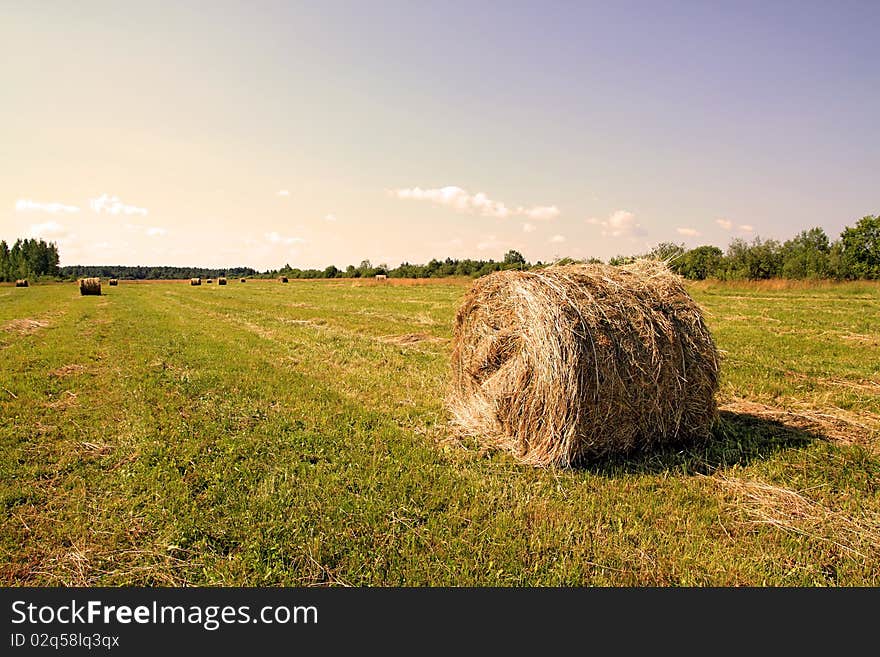 Hay in stack