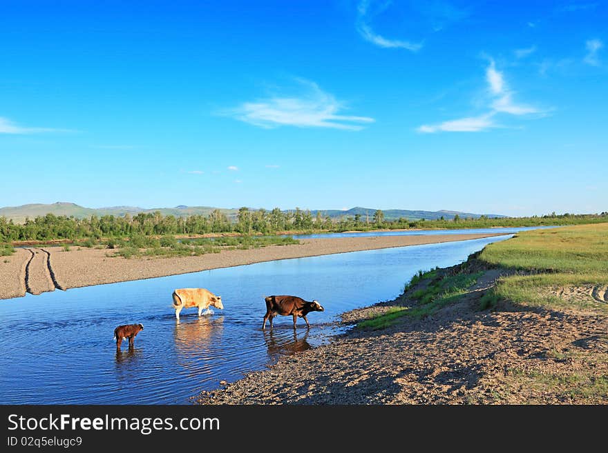 Watering place