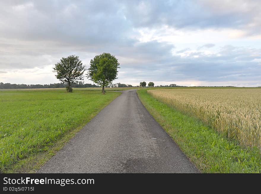 Typical small country road in south-western Germany