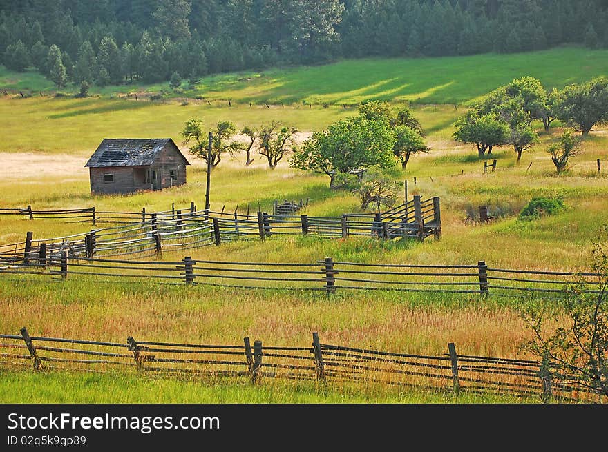 Old shack in green meadow