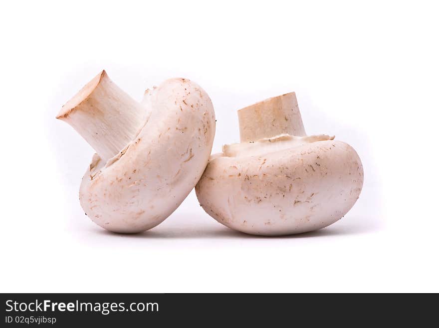 Fresh mushrooms isolated on a white background