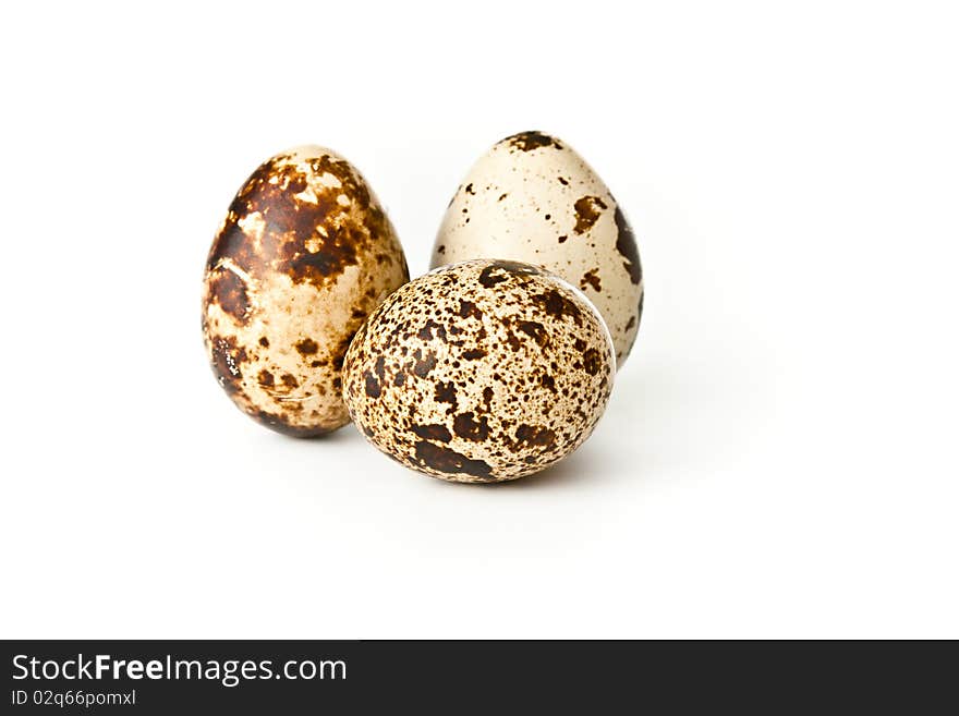 Quail eggs