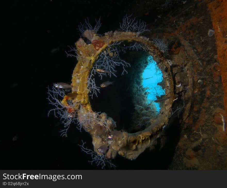 Open illuminator inside the wreck with corals,fish and blue water. Open illuminator inside the wreck with corals,fish and blue water