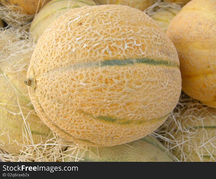 Melon