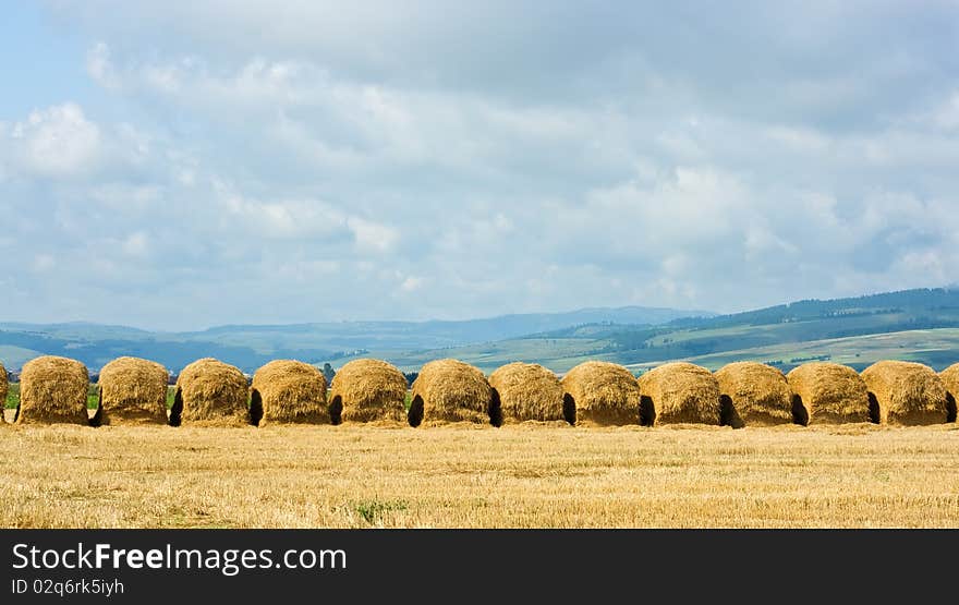 Straw stacks on the meadow