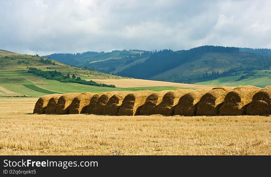 Straw stacks on the meadow