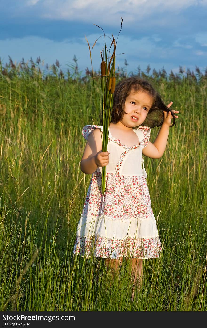 Little girl holding in her hands reeds. Little girl holding in her hands reeds