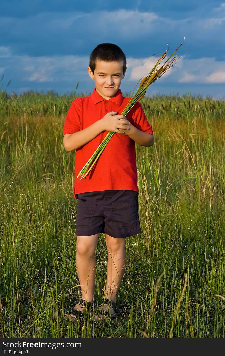 Happy little boy holding in his hands reeds. Happy little boy holding in his hands reeds