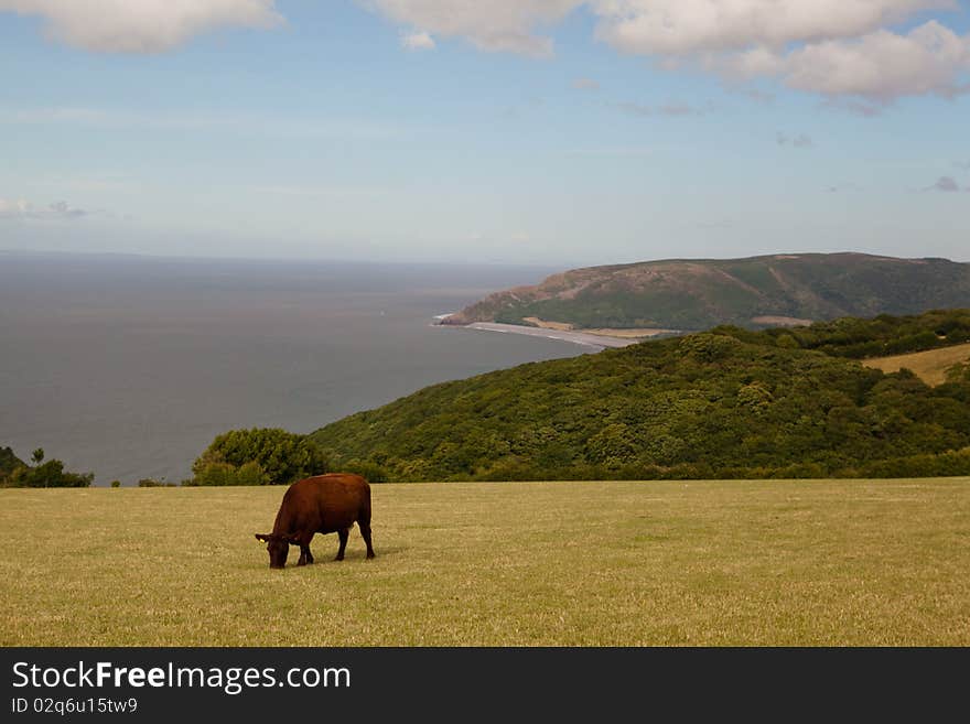 Typical landscape in Dorset in Great Britain. Typical landscape in Dorset in Great Britain