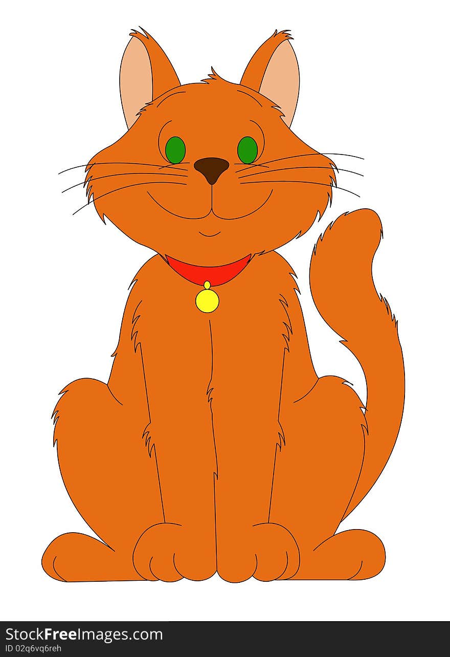 Orange cat