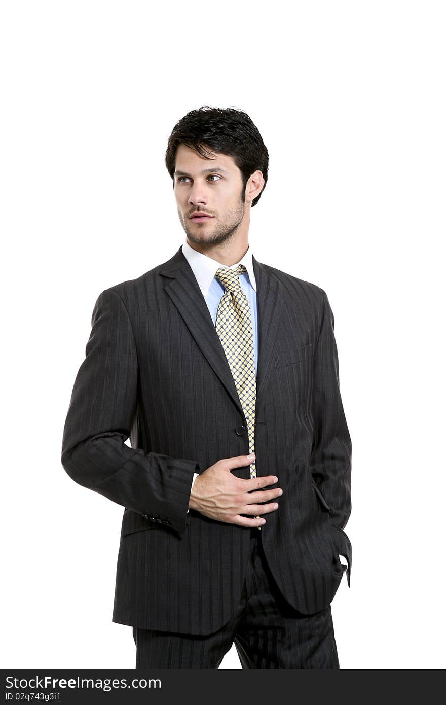 Businessman  portrait