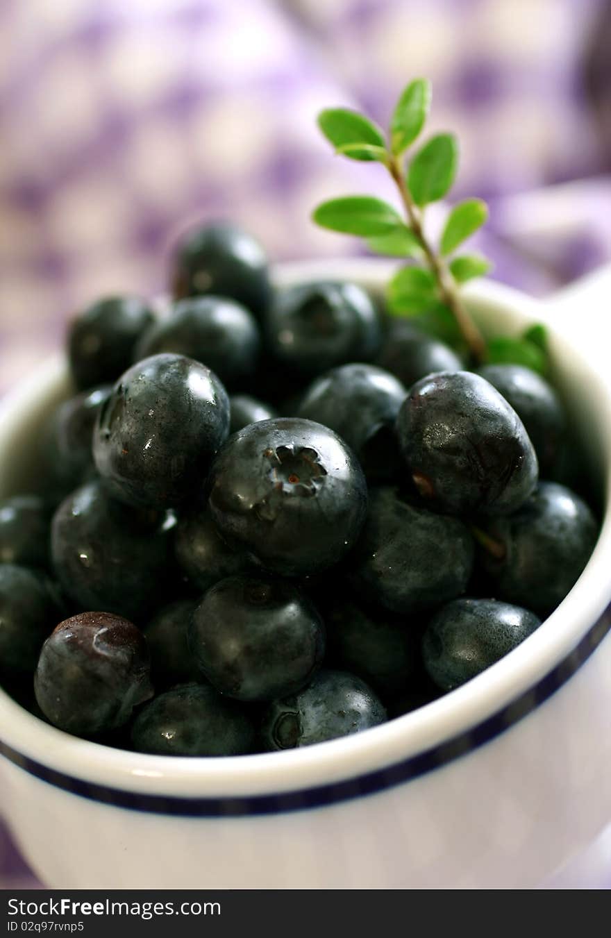 Blueberry in white cup