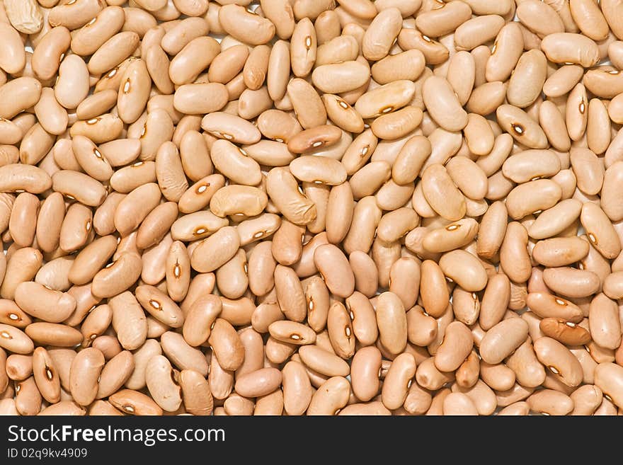 Very fresh beans isolated on white background. Very fresh beans isolated on white background