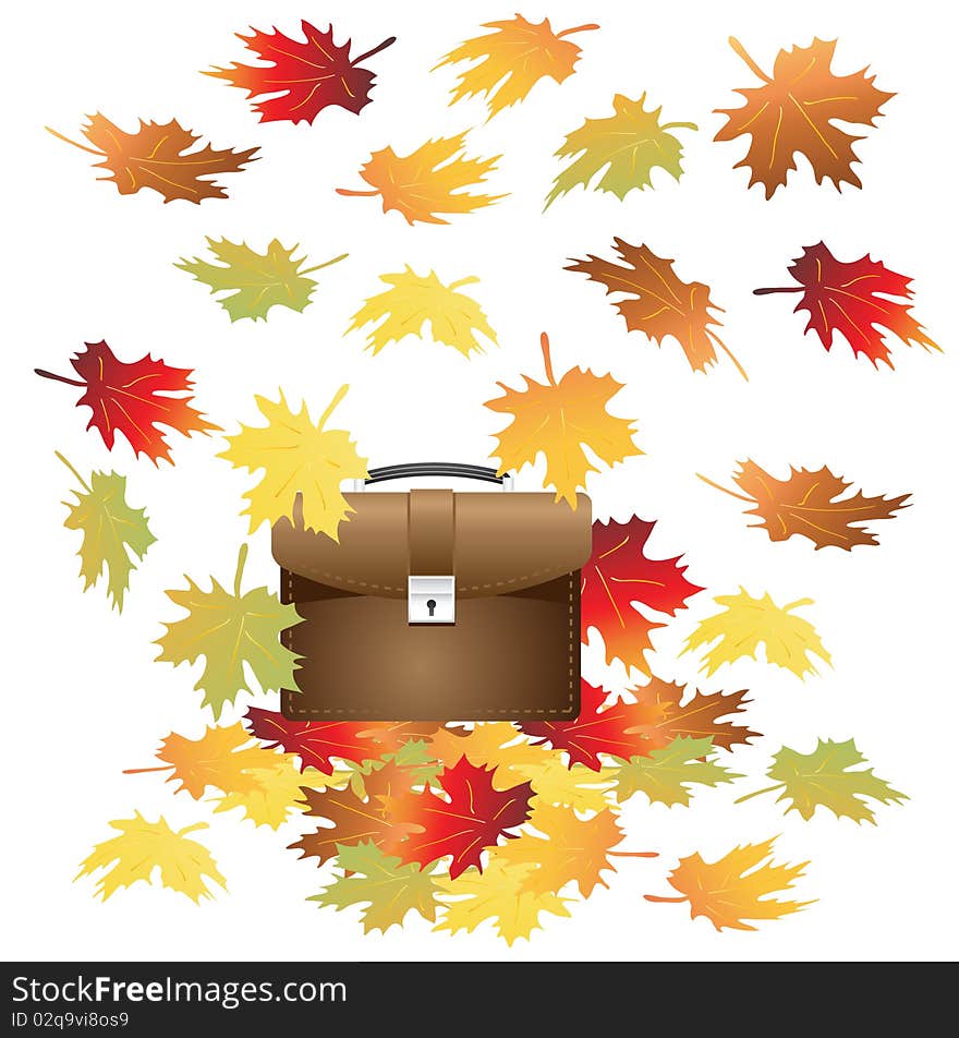 Portfolio with maple leaves on a white background. Vector illustration