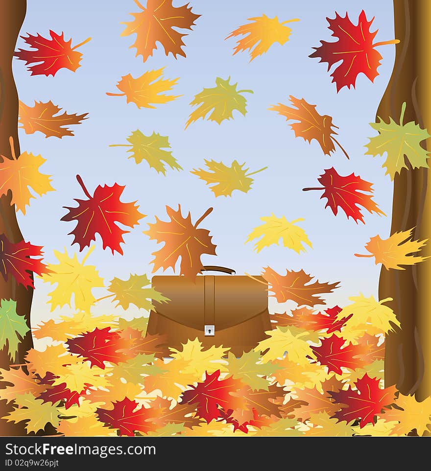 Portfolio among falling foliage