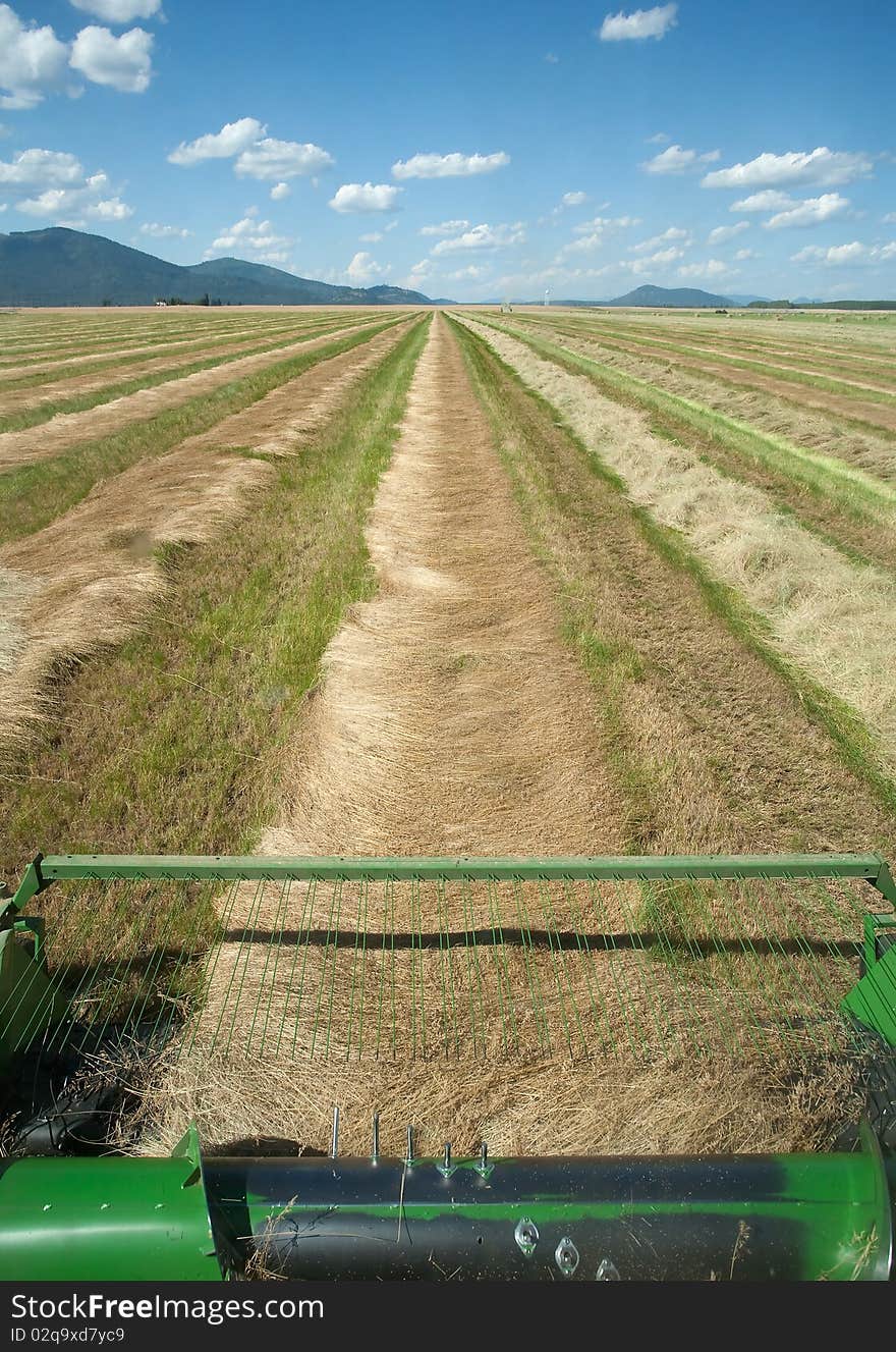 The front part of a combine in a field harvesting grass. The front part of a combine in a field harvesting grass.