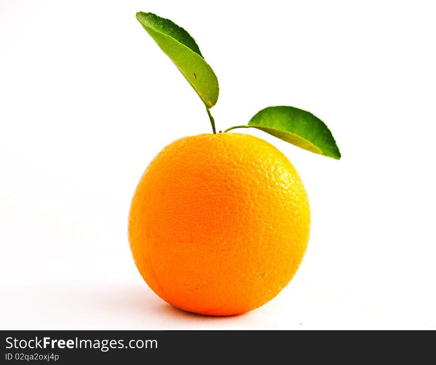 Orange isolated on a white background