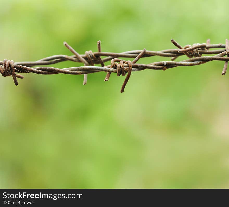 Barbed wire lines / fence in garden against a blurred green background