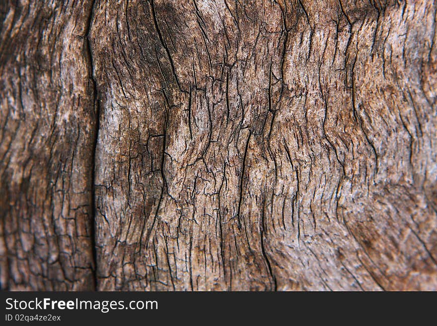 Texture of very old teak wood