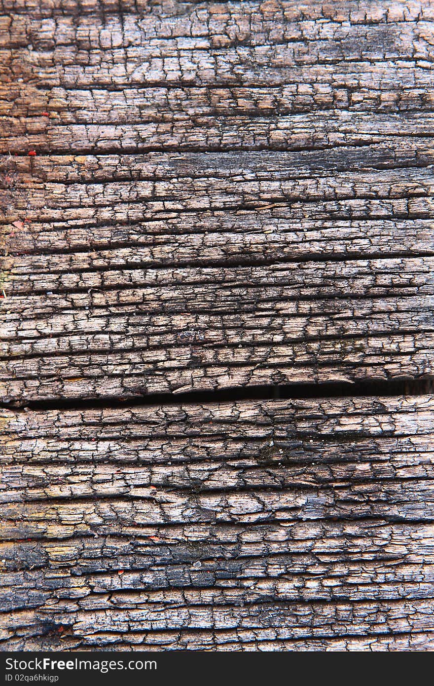 Texture of very old teak wood