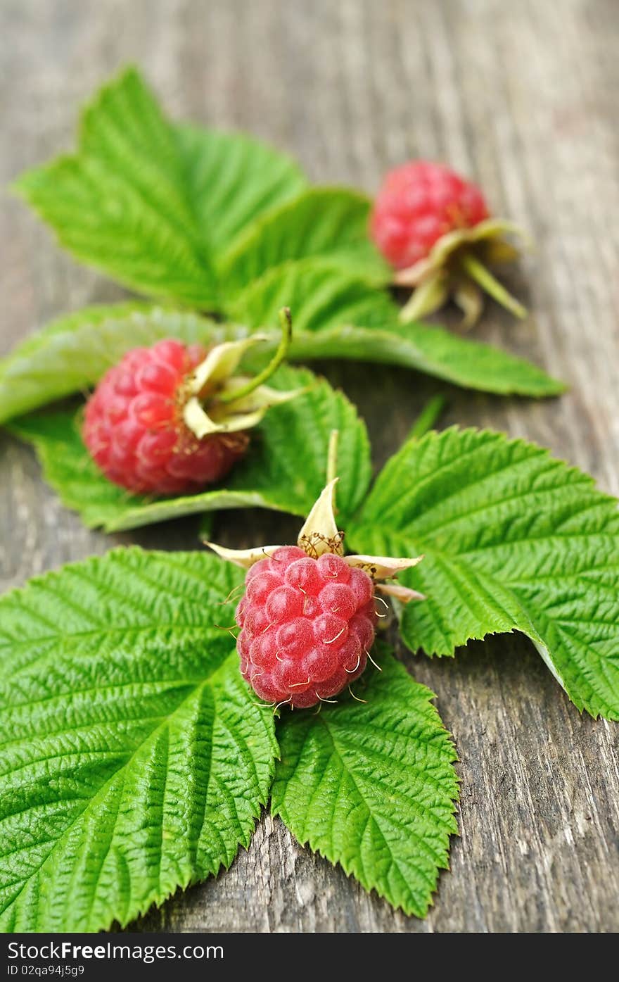 Raspberries