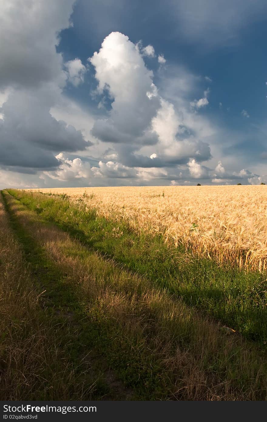 Landscape of a chain with wheat and clouds. Landscape of a chain with wheat and clouds