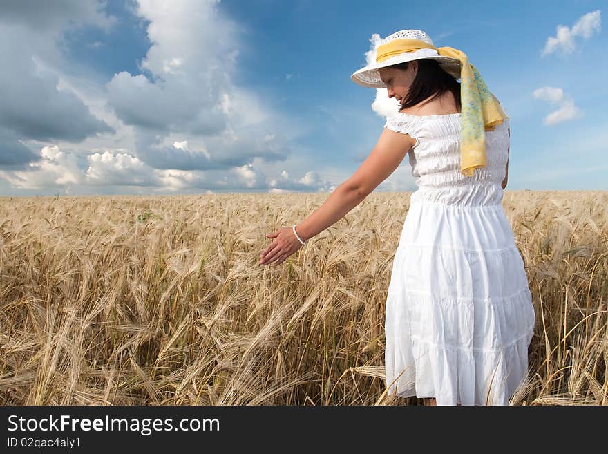 Field Of Wheat