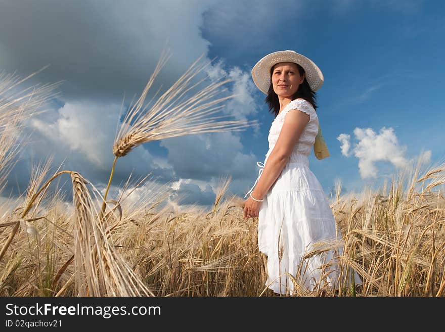 Field Of Wheat