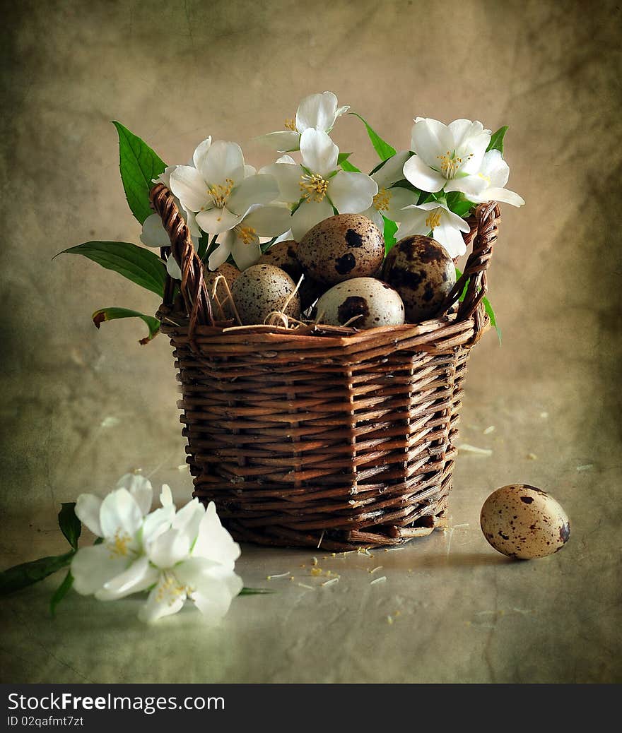 Still life with jasmin and quail eggs