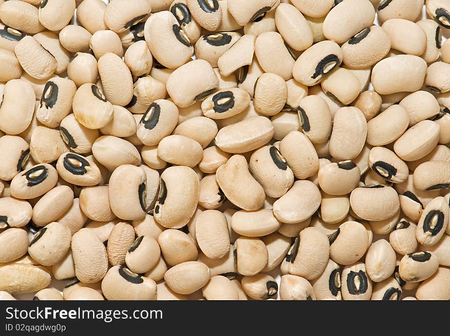 Very fresh beans isolated on white background