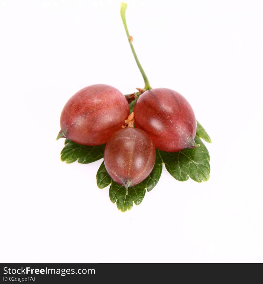 Red gooseberries on a leaf on white background