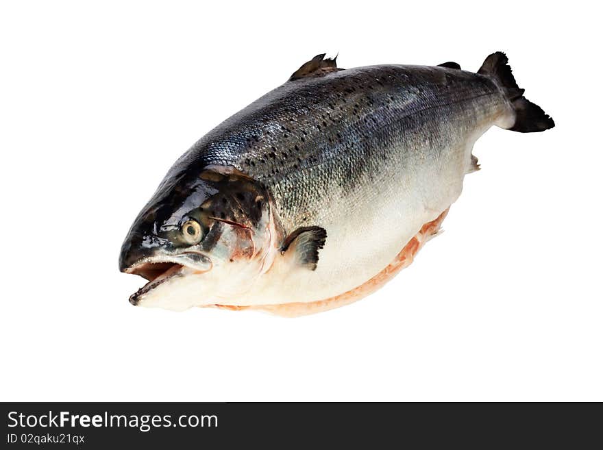 The fresh salmon isolated on a white background