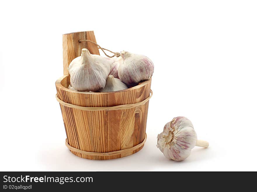 Garlic